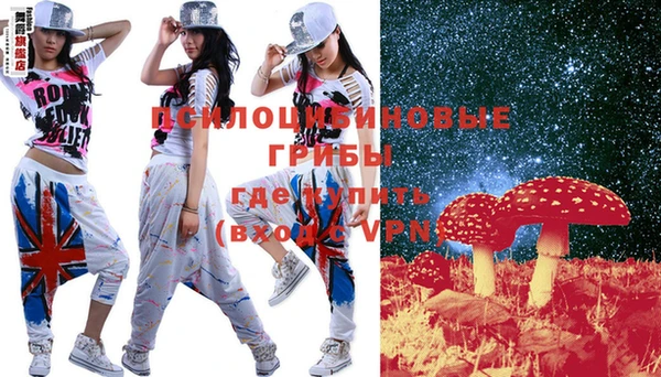 гидропоника Бородино
