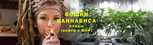 гидропоника Бородино
